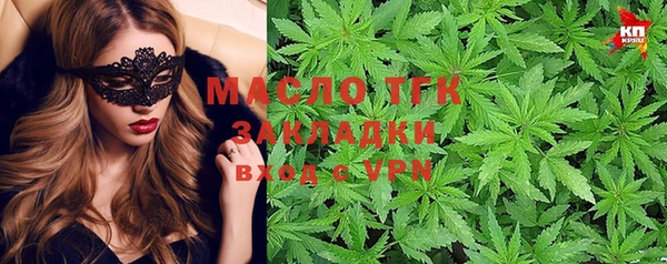 дживик Бородино