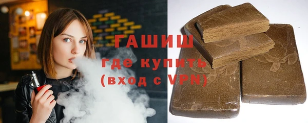 дживик Бородино