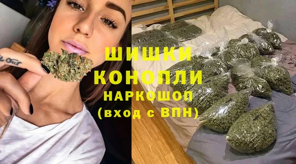 дживик Бородино