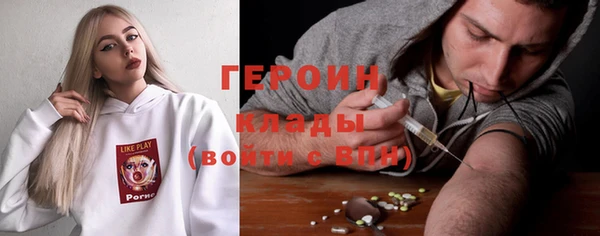 дживик Бородино