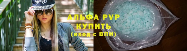 дживик Бородино
