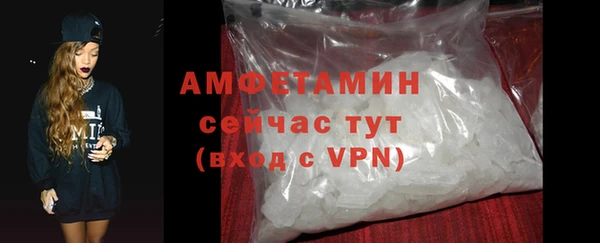 дживик Бородино