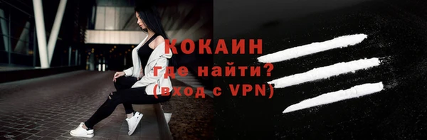 дживик Бородино