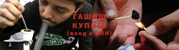 дживик Бородино